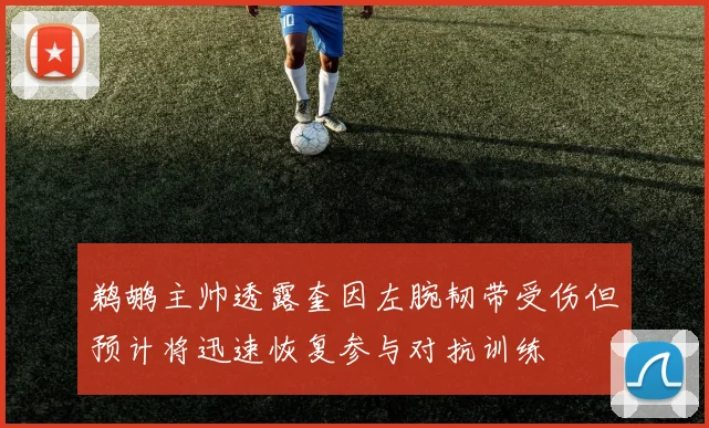 鹈鹕主帅透露奎因左腕韧带受伤但预计将迅速恢复参与对抗训练